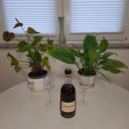 Apartment Apartma Dividenda Ptuj